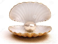 Pearl (Moti) stone – South sea Certified
