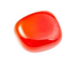 Certified Red Coral (Moonga) gemstone